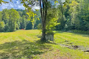 575 Vestal Cochran Rd, Topton, NC 28781 - Photo 88