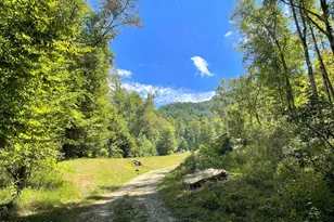 575 Vestal Cochran Rd, Topton, NC 28781 - Photo 106
