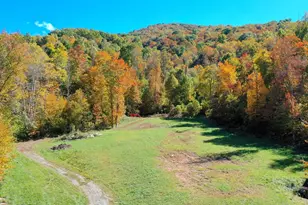 575 Vestal Cochran Rd, Topton, NC 28781 - Photo 38