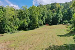 575 Vestal Cochran Rd, Topton, NC 28781 - Photo 56
