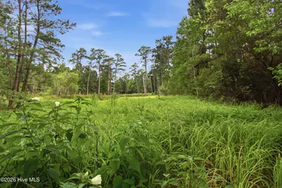 2409 Turtle Bay Drive, New Bern, NC 28562 - Photo 10