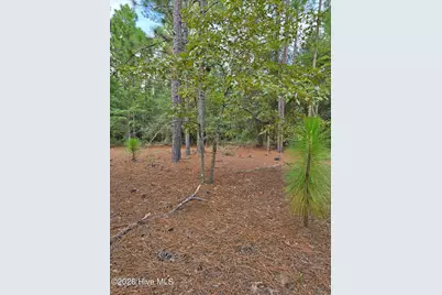 317 R J Johnson Road, Allendale, SC 29810 - Photo 8