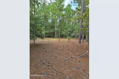 317 R J Johnson Road, Allendale, SC 29810 - Photo 6