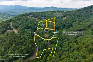 57 Gentle Ponds View, Murphy, NC 28906 - Photo 4