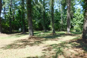 4004 Brandywine Dr, New Bern, NC 28562 - Photo 2