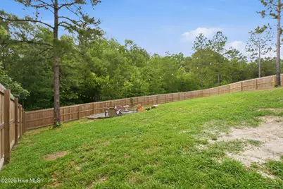 169 Hedge Hunter Court, Raeford, NC 28376 - Photo 42