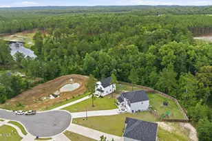 169 Hedge Hunter Ct, Raeford, NC 28376 - Photo 46