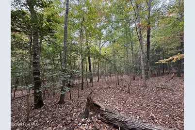 119 Bessie Road, Carthage, NC 28327 - Photo 36