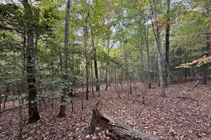 119 Bessie Rd, Carthage, NC 28327 - Photo 36