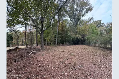 119 Bessie Road, Carthage, NC 28327 - Photo 34