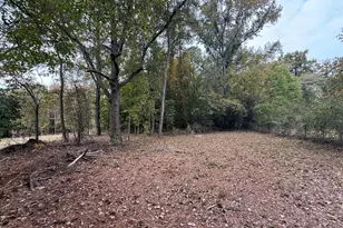 119 Bessie Rd, Carthage, NC 28327 - Photo 34