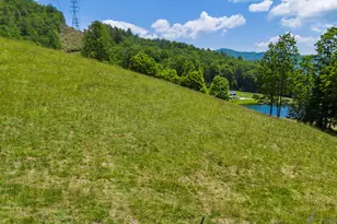 1740 Winding Stairs Rd, Topton, NC 28781 - Photo 88