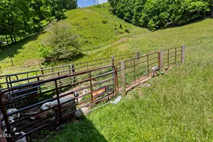1740 Winding Stairs Rd, Topton, NC 28781 - Photo 108