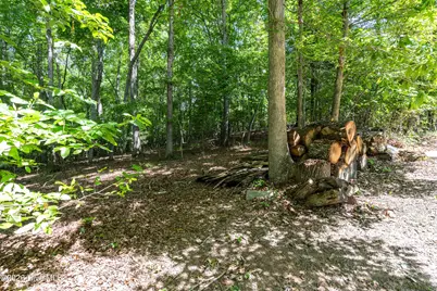 44 Red Wolf Trail Trail, Blairsville, GA 30512 - Photo 34