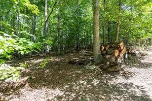 44 Red Wolf Trail Trail, Blairsville, GA 30512 - Photo 34