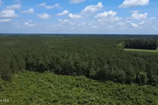 145 New Rd, Windsor, NC 27983 - Photo 38