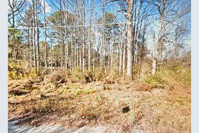 8509 Candlebrush Drive, Linden, NC 28356 - Photo 2