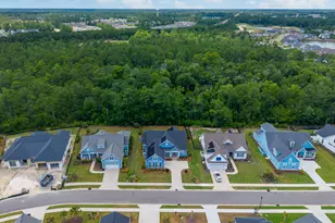 4291 Cobleskill Dr, Leland, NC 28451 - Photo 6