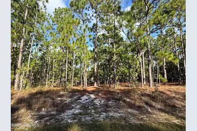 585 Westwood Road, Southport, NC 28461 - Photo 2