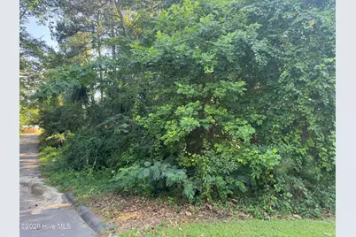 201 Shaw Road, Hamlet, NC 28345 - Photo 20