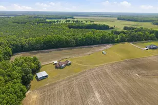 405 Pittman Town Rd, Scotland Neck, NC 27874 - Photo 14