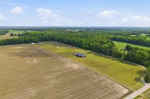 405 Pittman Town Rd, Scotland Neck, NC 27874 - Photo 12