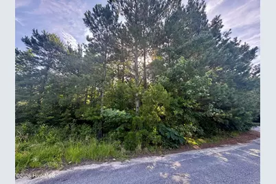 285 Dodge Point Drive, Pinetops, NC 27864 - Photo 1