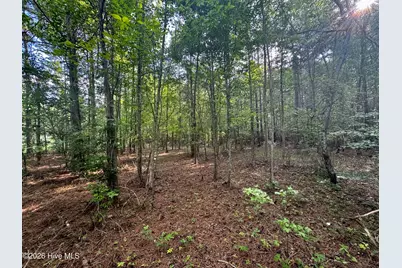 285 Dodge Point Drive, Pinetops, NC 27864 - Photo 6