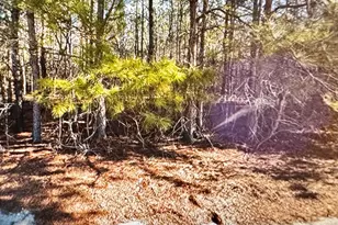 285 Dodge Point Dr, Pinetops, NC 27864 - Photo 1