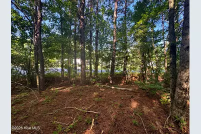285 Dodge Point Drive, Pinetops, NC 27864 - Photo 8