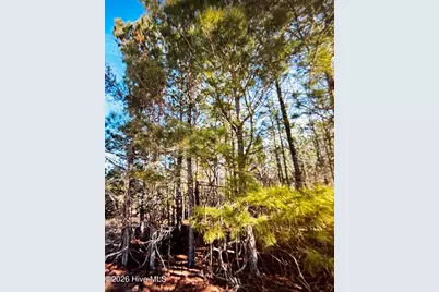 285 Dodge Point Drive, Pinetops, NC 27864 - Photo 2