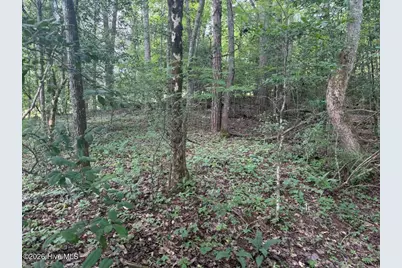Tbd Rough Gravel Road, Murphy, NC 28906 - Photo 6