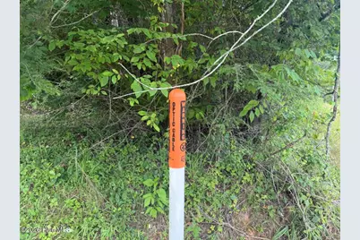 Tbd Rough Gravel Road, Murphy, NC 28906 - Photo 2