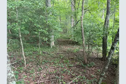 Tbd Rough Gravel Road, Murphy, NC 28906 - Photo 4