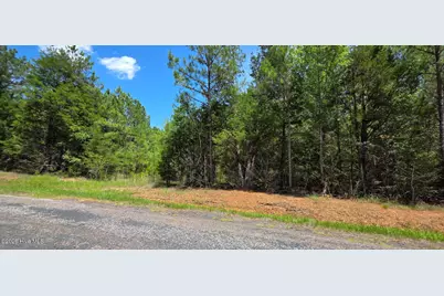0 Chestnut Ridge Road, McCormick, SC 29835 - Photo 8