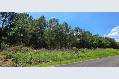 0 Chestnut Ridge Road, McCormick, SC 29835 - Photo 4