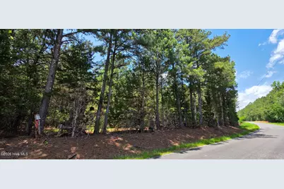 20A Chestnut Ridge Road, McCormick, SC 29835 - Photo 2