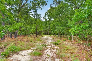 1091 Nursery Rd, Lillington, NC 27546 - Photo 40