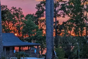 237 Sabal Pond Wy, Castle Hayne, NC 28429 - Photo 4