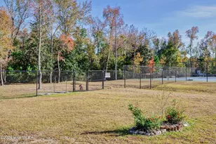 237 Sabal Pond Wy, Castle Hayne, NC 28429 - Photo 102