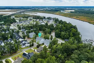 237 Sabal Pond Wy, Castle Hayne, NC 28429 - Photo 68