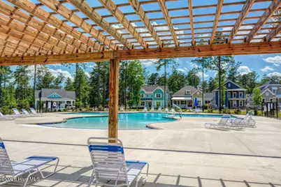 237 Sabal Pond Way, Castle Hayne, NC 28429 - Photo 90