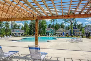 237 Sabal Pond Wy, Castle Hayne, NC 28429 - Photo 90