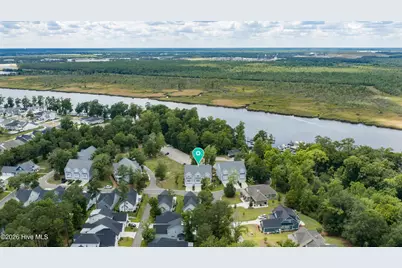 237 Sabal Pond Way, Castle Hayne, NC 28429 - Photo 2