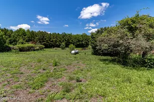 10105 Old Beulah Rd, Kenly, NC 27542 - Photo 22