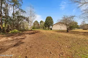 1019 Blue Leaf Pl, Jacksonville, NC 28546 - Photo 42