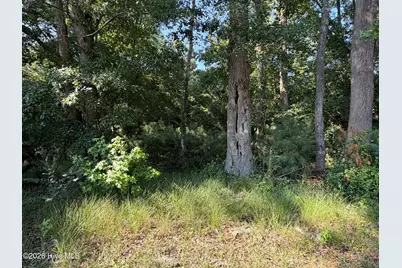 165 Ike Frederick Lane, Kenansville, NC 28349 - Photo 24