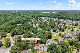 113 Bellowing Doe Rd, Hampstead, NC 28443 - Photo 68