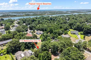 113 Bellowing Doe Rd, Hampstead, NC 28443 - Photo 6