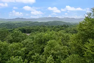 181 Rice Ln, Marble, NC 28905 - Photo 4
